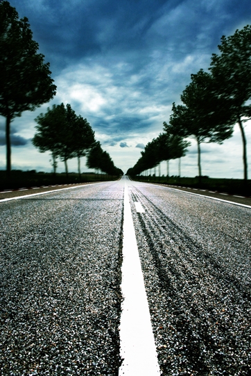 ДУРАКИ И ДОРОГИ...