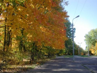 Реадовский парк